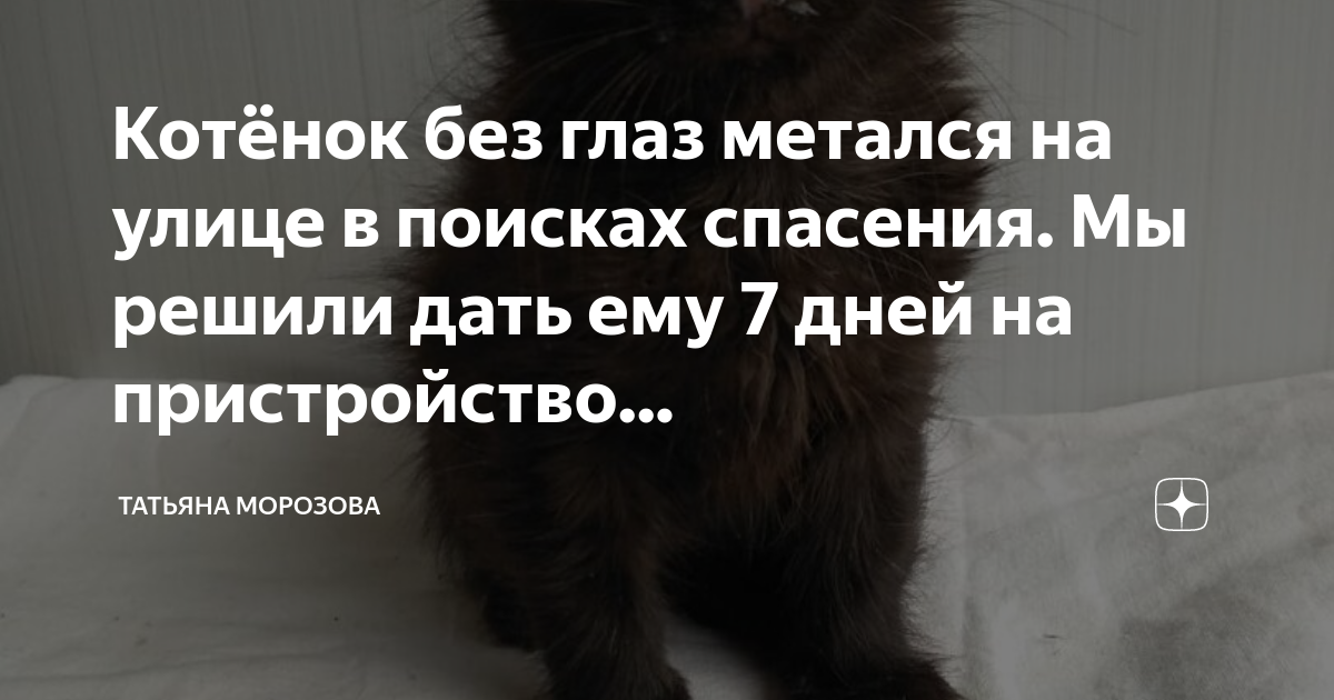 Ищу спасенья. Ищу спасенья