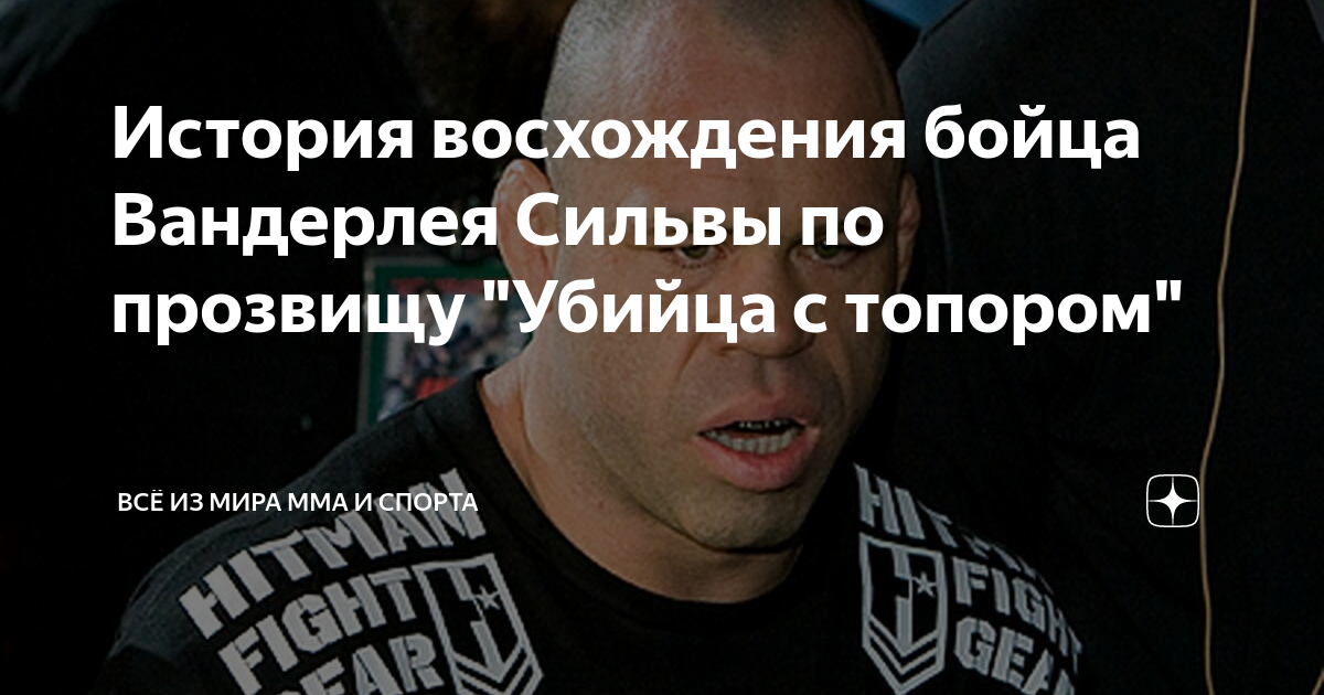 Ниссан сильва 15