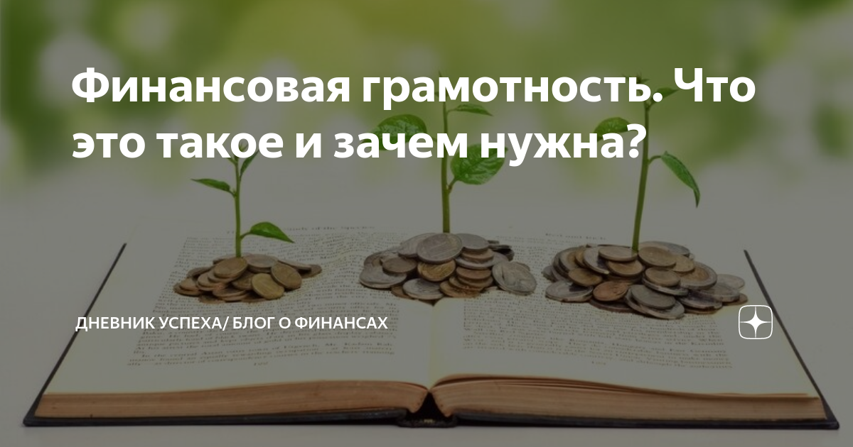 Зачем нужна финансовая грамотность. Финансовая грамотность - залог успешной жизни. Дневник финансовой грамотности. Зачем нам нужна финансовая грамотность.