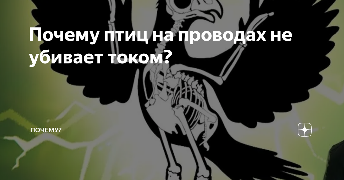 Почему птиц не бьет током, когда они сидят на проводах? - Сам электрик