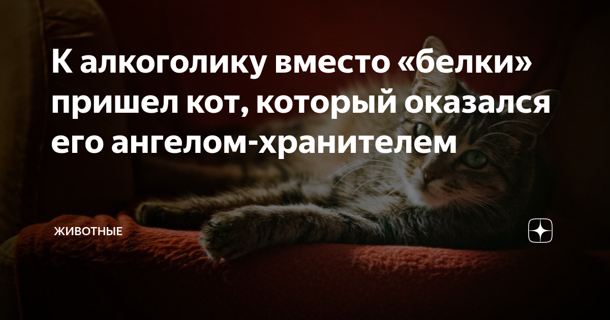 С кресла спрыгнул котенок