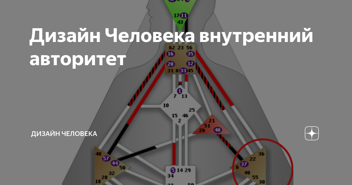 Селезеночный авторитет дизайн