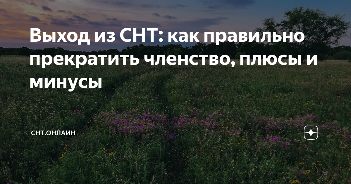 выписка из реестра членов снт. отключение электроэнергии за неуплату. взносы снт. как выйти из снт ответы юристов. уважаемые члены снт.