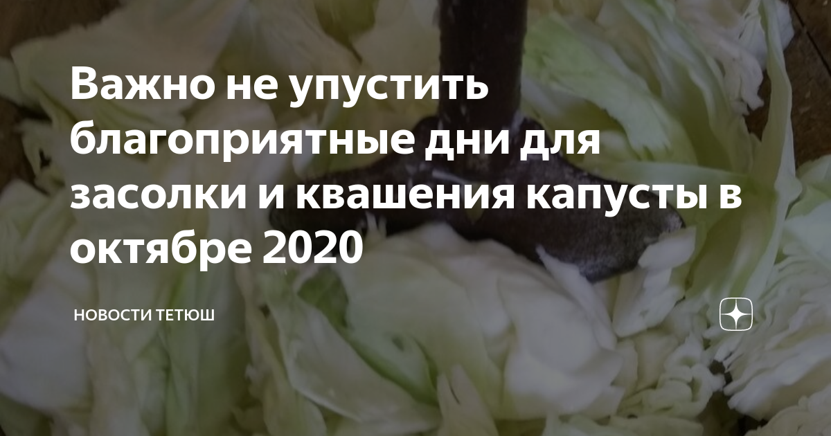 Квашение капусты в январе 2024