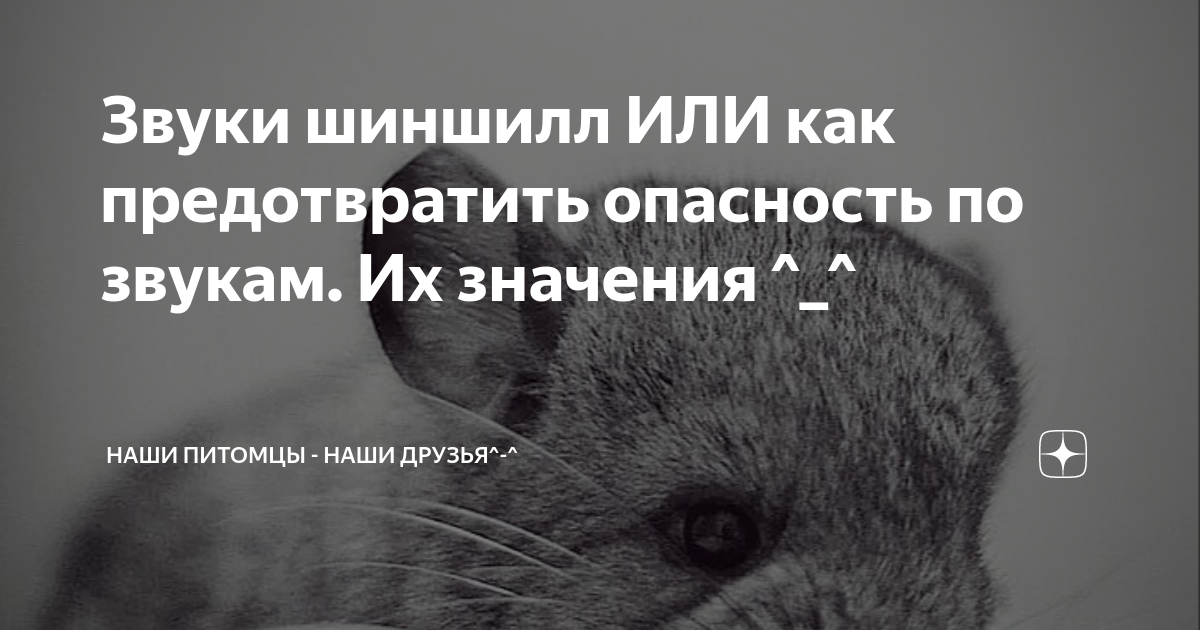 Услуги поведенческого специалиста