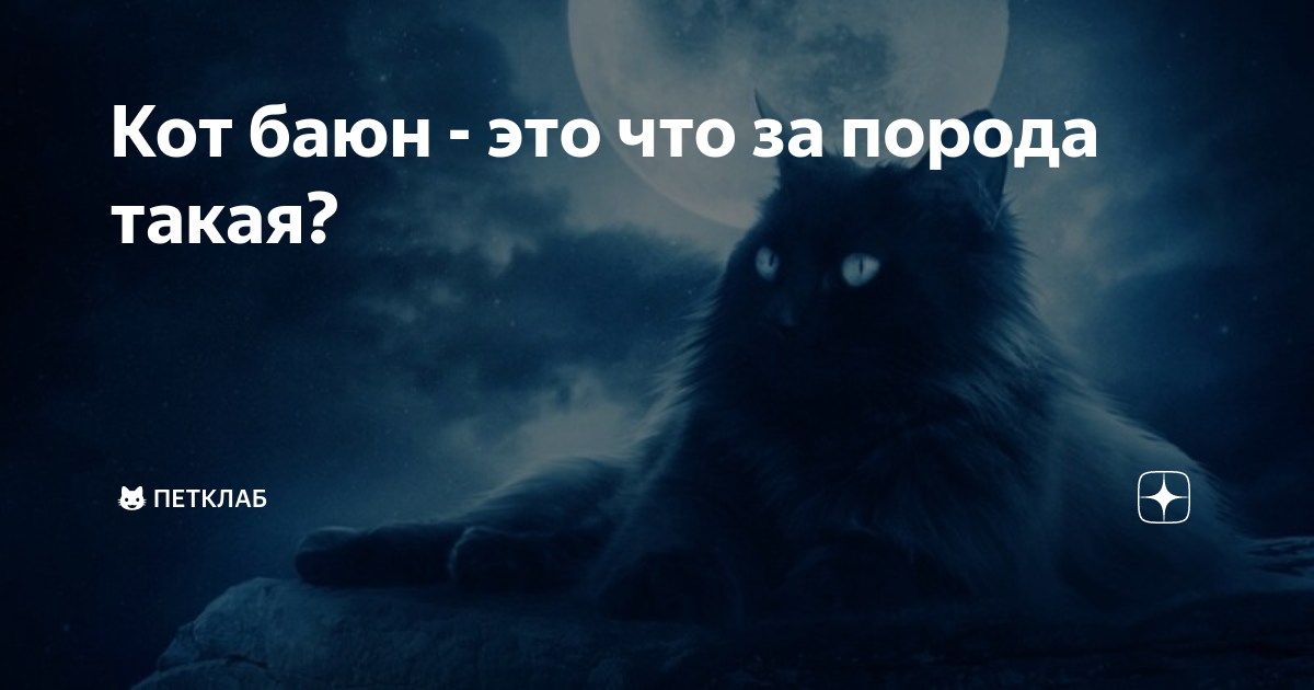 Грустная песня котика. Кот Баюн Пушкин. Кот Баюн Славянская мифология. Кот Баюн картинки. Сказочный кот Баюн