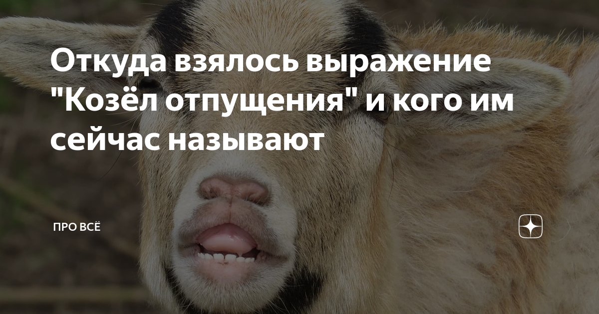 Откуда взялось выражение "Козёл отпущения" и кого им сейчас называют ...