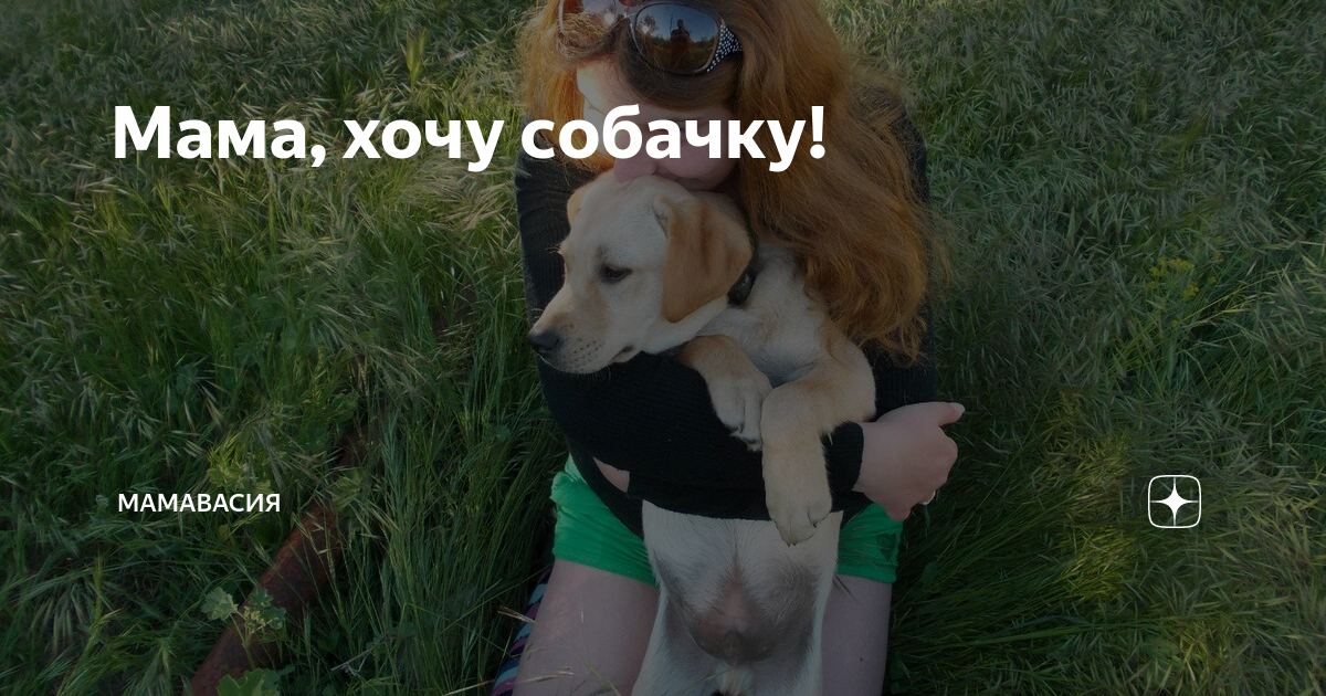 Жена хочу собаку. Жена хочу собаку