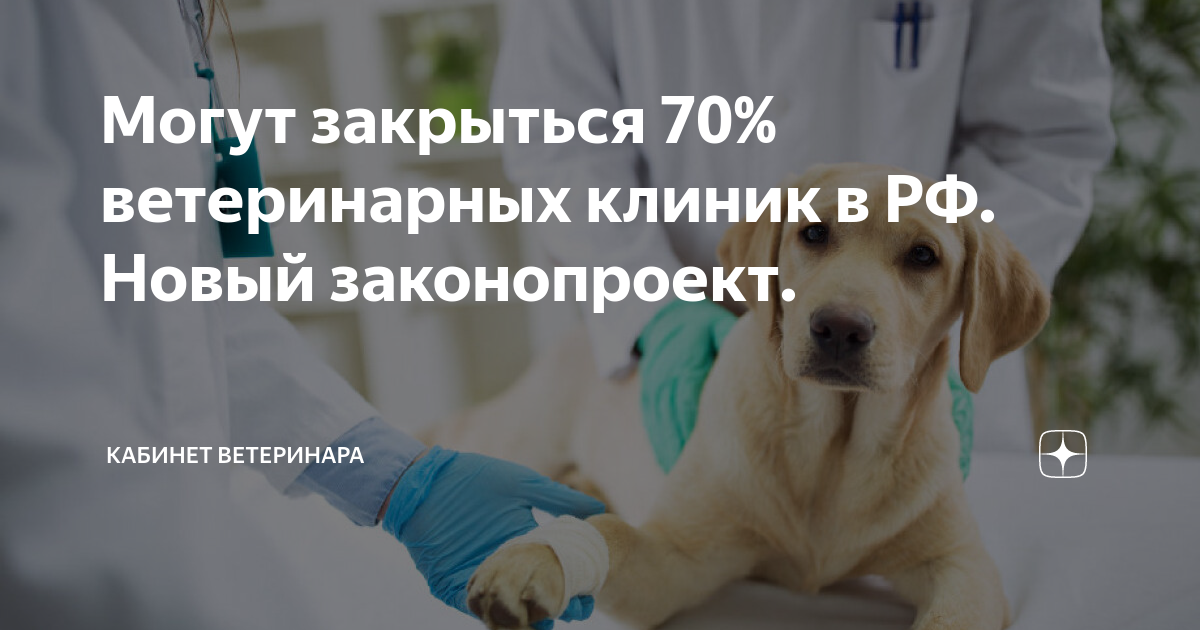 Болдино 70 ветеринарная