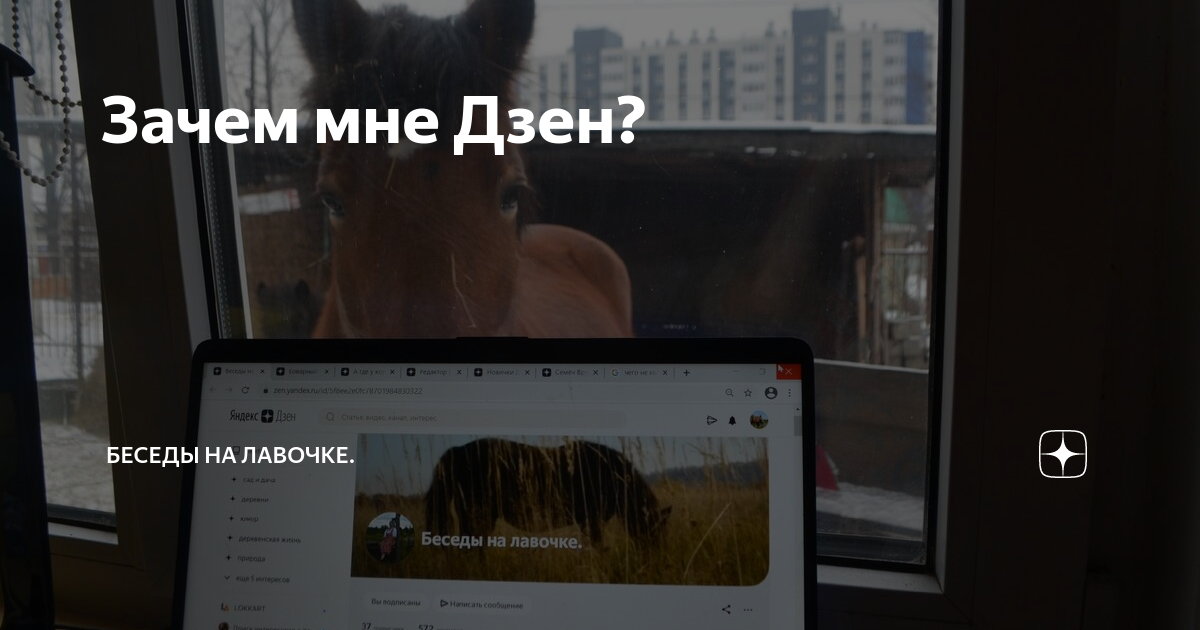 zen.yandex.ru