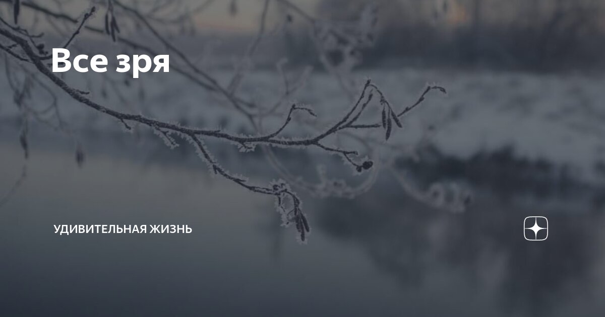 Все зря. Жизнь зря. Всё было зря. Всё не зря.