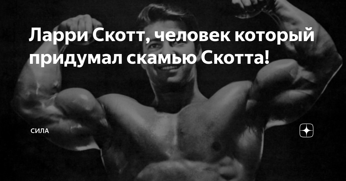 Силовые тренажеры DHZ FITNESS