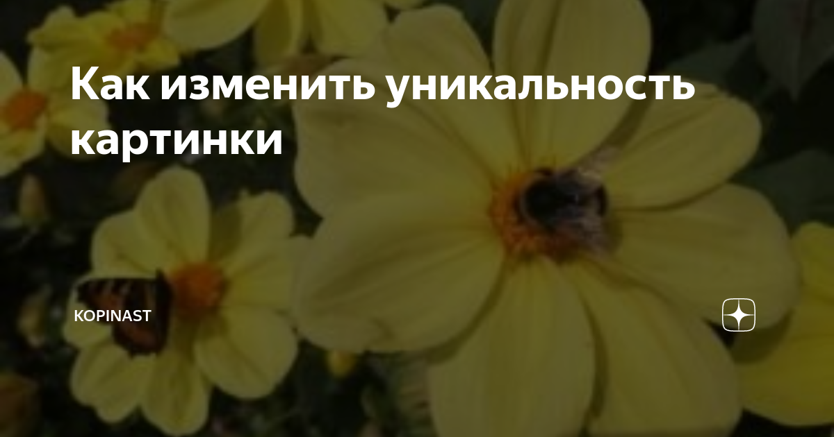 Уникальность картинки онлайн