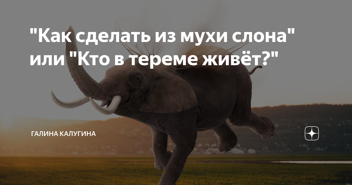 Контрольная работа по физике 9 класс равноускоренное движение. Используется перемещение слона и мухи модель. Муха слон цепочка. Используется перемещение слона и мухи модель. Используется перемещение слона и мухи модель.