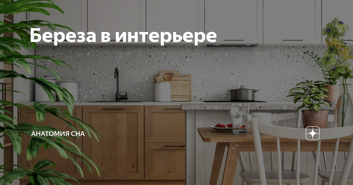 Мебель из березы в интерьере