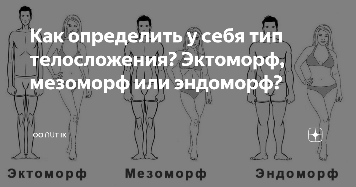 Как определить тип телосложения