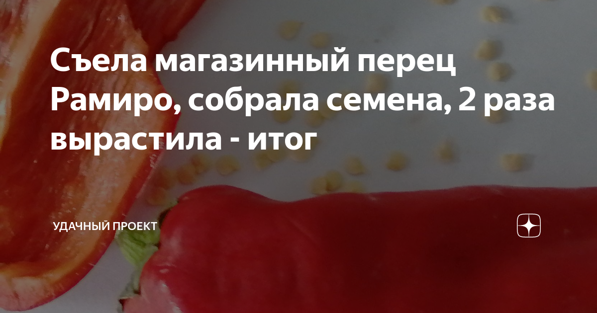 Съела магазинный перец Рамиро, собрала семена, 2 раза вырастила - итог ...