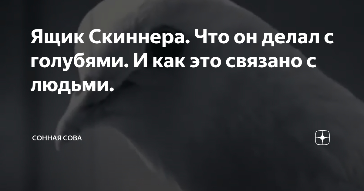 Ящик Скиннера. Что он делал с голубями. И как это связано с людьми ...