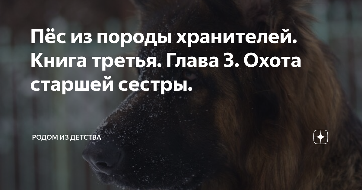 Пес из породы хранителей аудиокнига слушать. Пес из породы хранителей книга 3.. Собака хранитель книга. Пес из породы хранителей глава 32. Пёс из породы хранителей книга 6 глава 14 читать.