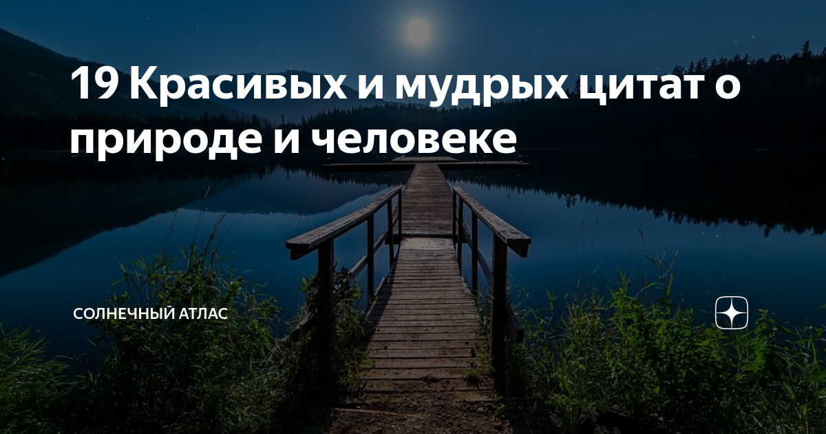 �������� ���� �������: ����.