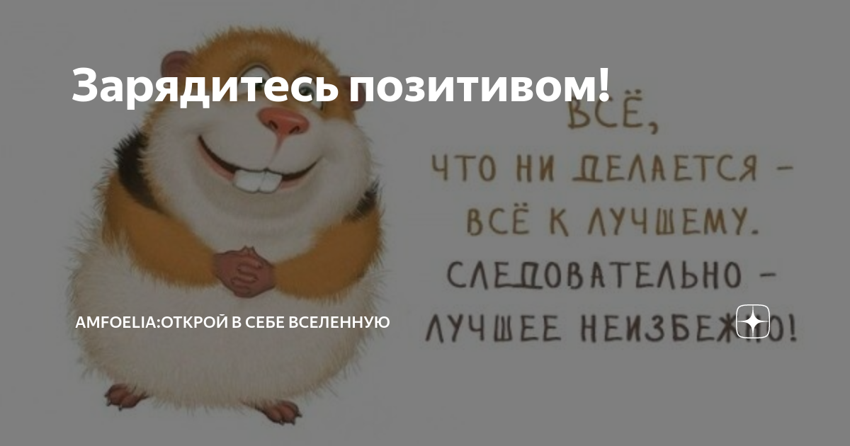 Открытка зарядись позитивом. Зарядить позитивом. Заряжаю всех хорошим настроением белка. Забавные животные. Заряжают позитивом картинки.