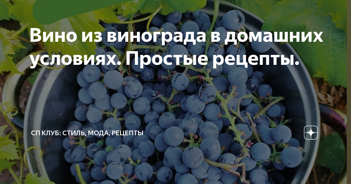 Рецепт из кислого винограда. Какой виноград лучше для домашнего вина