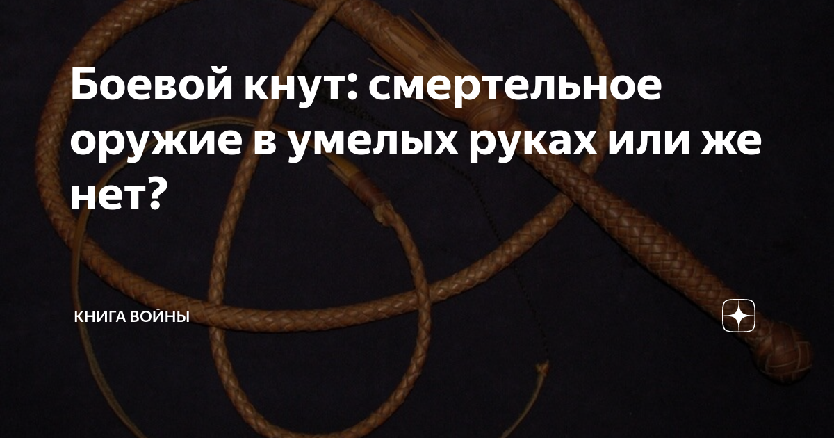 Боевой кнут: смертельное оружие в умелых руках или же нет? | Книга ...