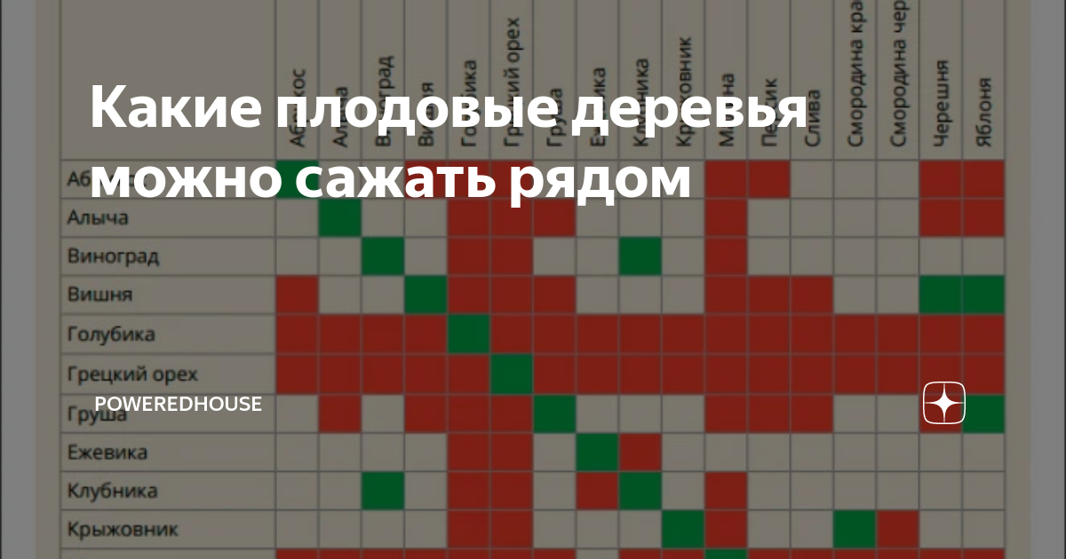 Совместимость плодовых деревьев в саду схема расположения