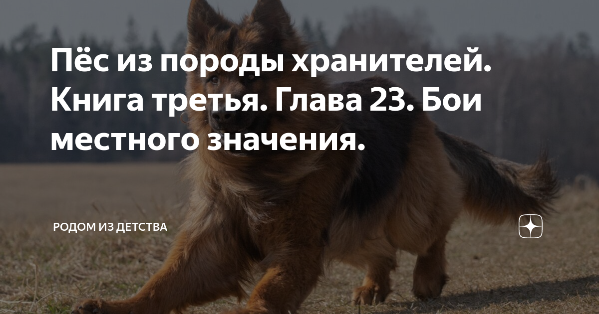 Пёс из породы хранителей. Книга третья. Глава 23. Бои местного значения ...