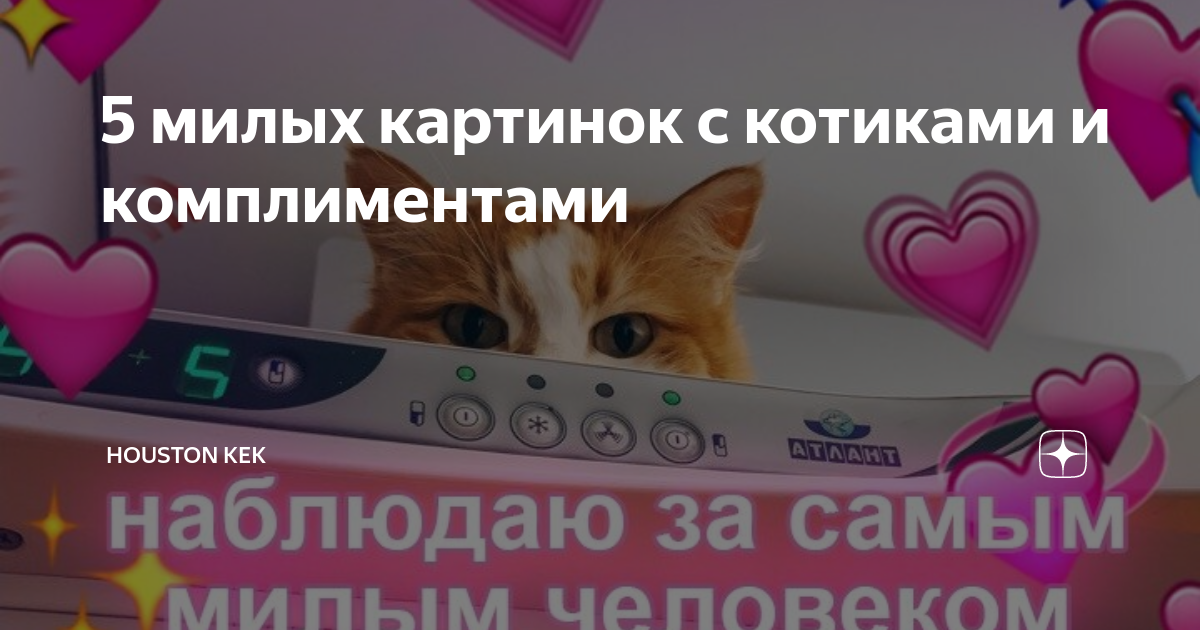 Милые картинки с комплиментами