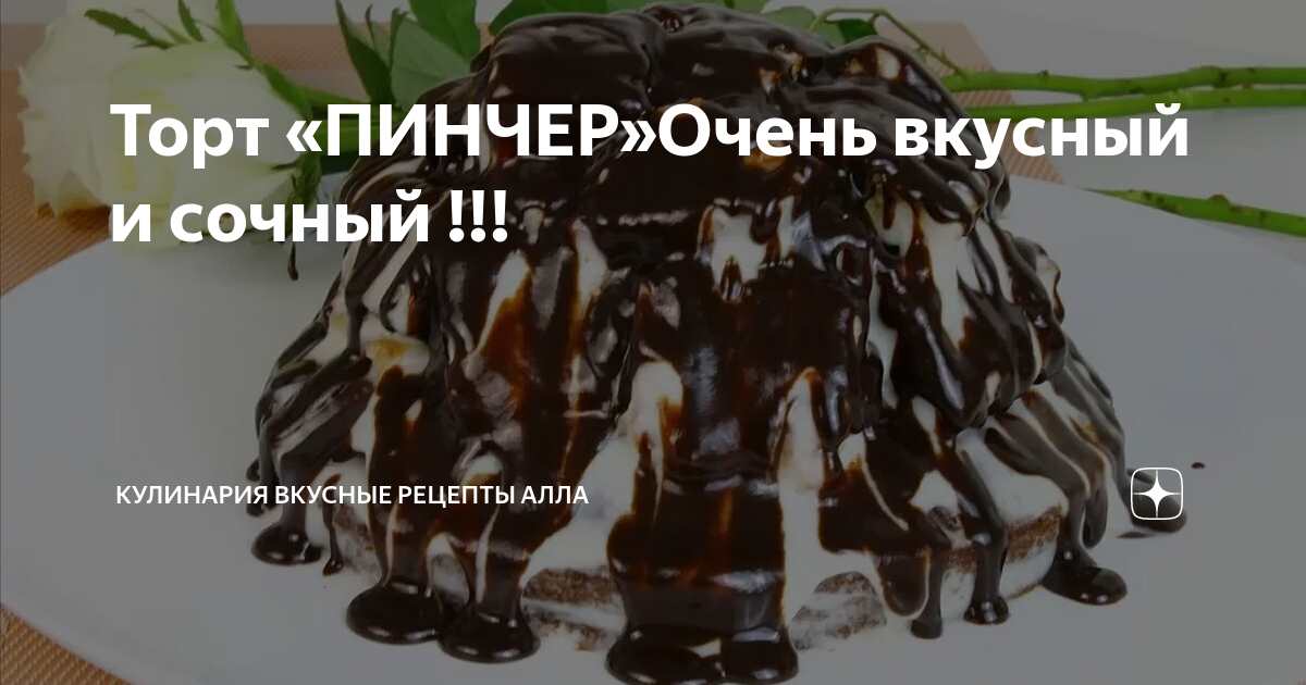 Торт пинчер кучерявый домашний