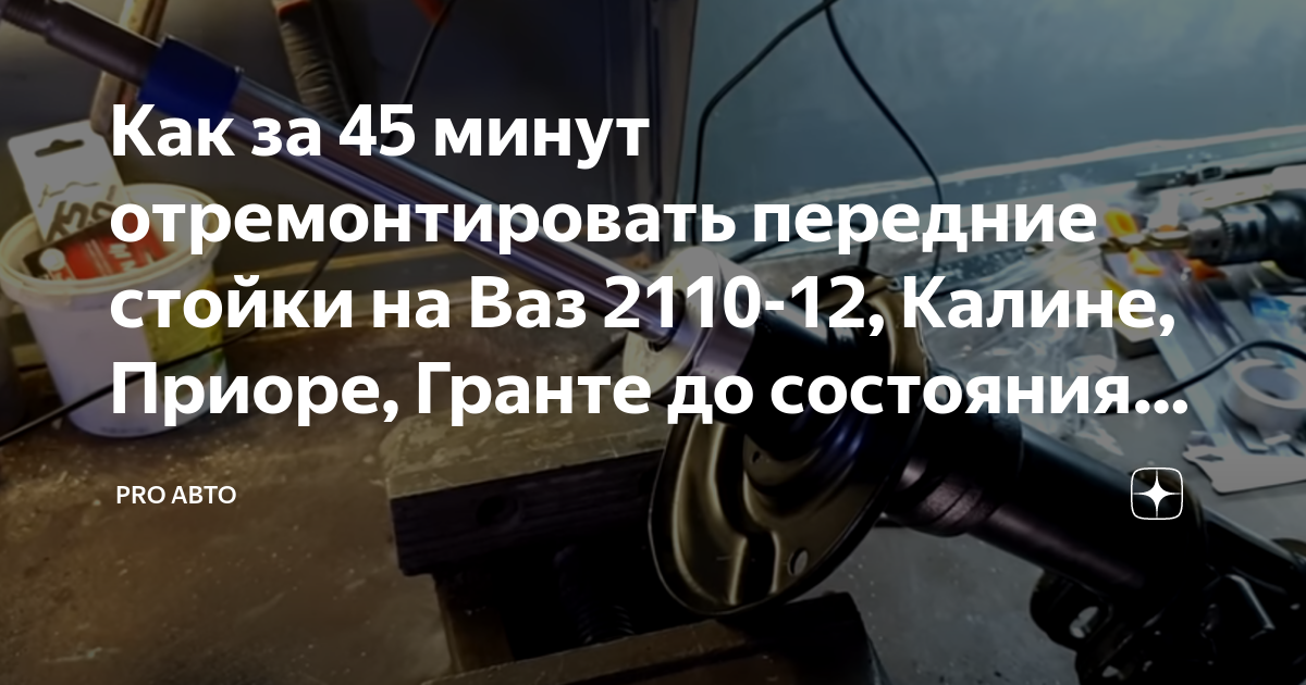 Pro авто дзен