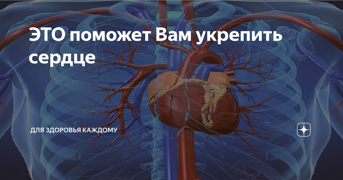 Как укрепить сердечную систему. Укрепление сердца и сосудов. Что поможет укрепить сердце. Как укрепить сердце советы кардиолога. Пенсионер укрепить сердечную мышцу.