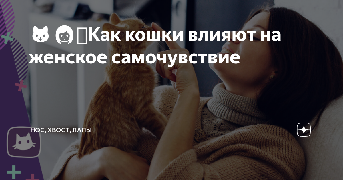 Кошки влияют. Влияние кошки на женщину. Как свист влияет на кошек.