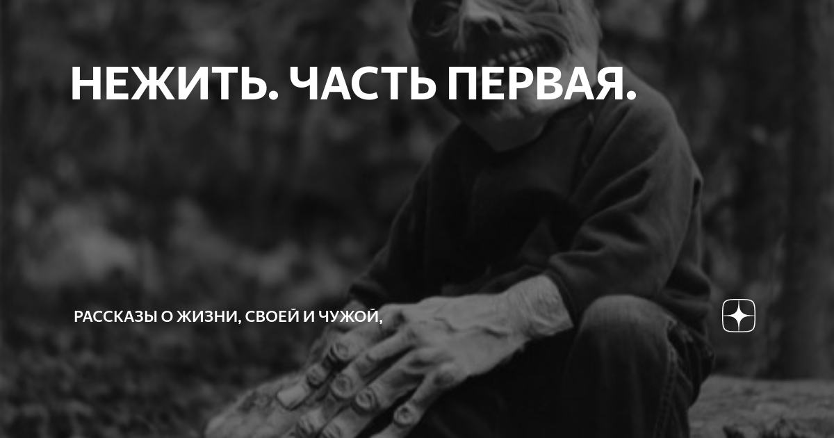 Чужая дзен рассказ 16. Тайга слабых не любит. Чужая дзен рассказ 16. Sport tv. Лингвистика клуб это.