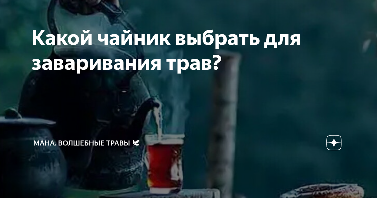 Какой чайник выбрать для заваривания трав? | Мана. Волшебные травы 🌿 | Дзен