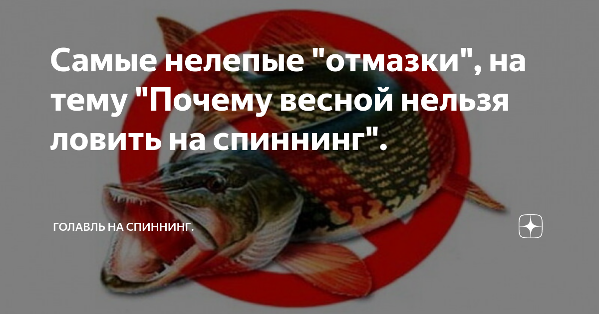 На что ловить нельзя Знак рыбалка запрещена (Пленка самоклеящаяся 100х100) купить в интернет-магази