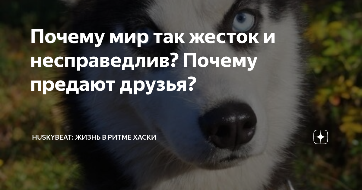 Преданное почему е. Преданное почему е