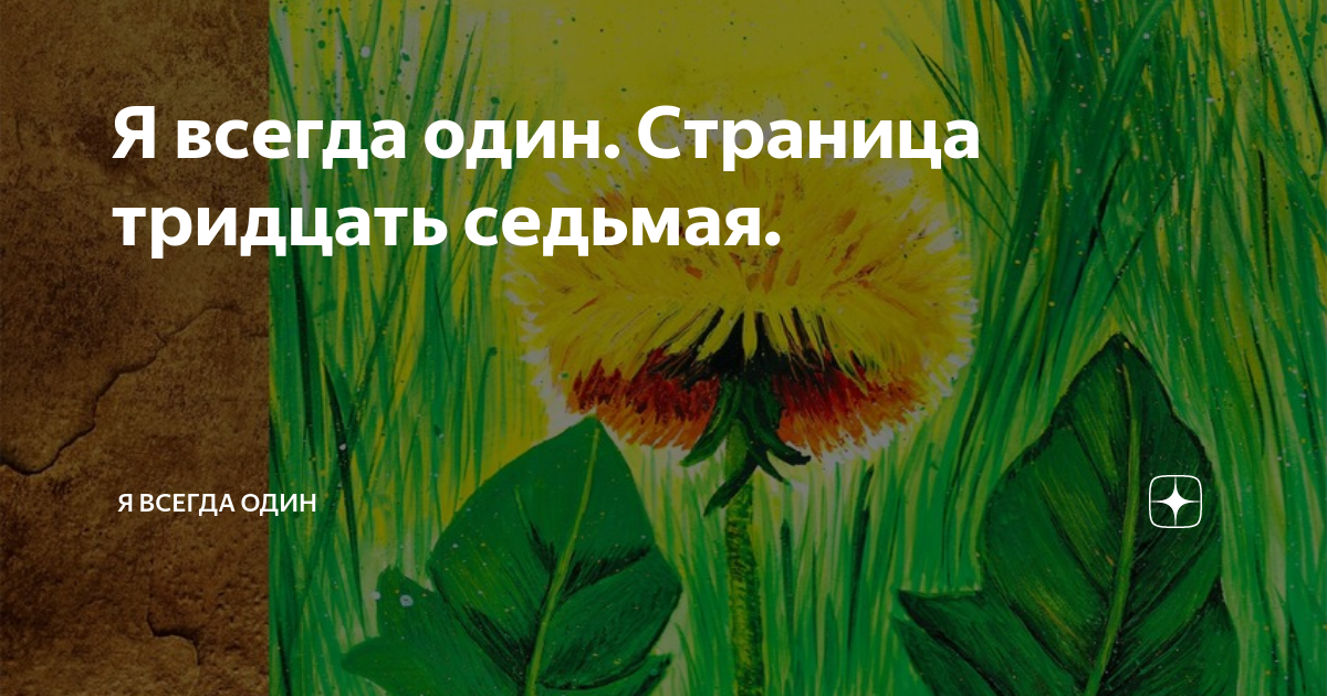 мне 31 год. тридцать одна страница. тридцать одна страница. рахманов о животных. обложка тридцать один день.