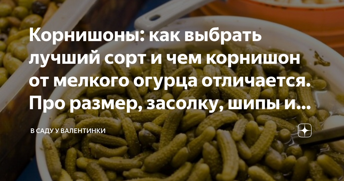 Корнишоны: как выбрать лучший сорт и чем корнишон от мелкого огурца ...
