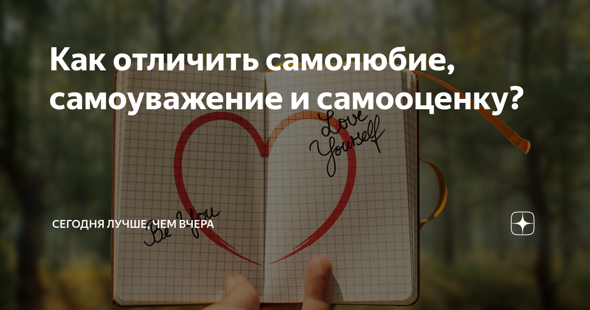 Как отличить самолюбие, самоуважение и самооценку? | Сегодня лучше, чем ...