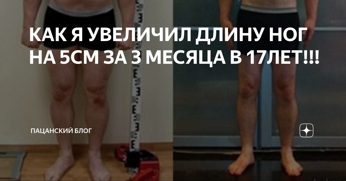 9 класс за 3 месяца