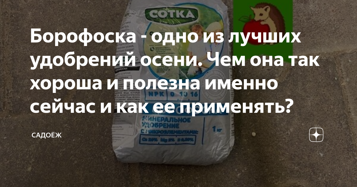 Борофоска - одно из лучших удобрений осени. Чем она так хороша и ...
