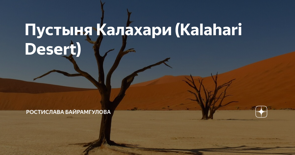 Слова мужского рода. Калахари какой род. Трудные случаи определения рода имен существительных. Калахари какой род. Калахари какой род.