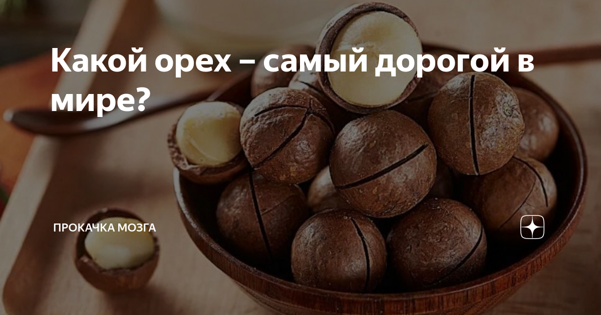 Какой орех – самый дорогой в мире? | ПРОКАЧКА МОЗГА | Дзен