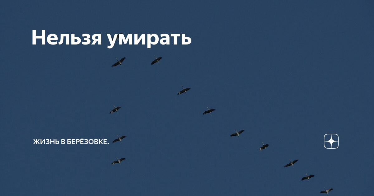 В какой стране нельзя умирать и почему
