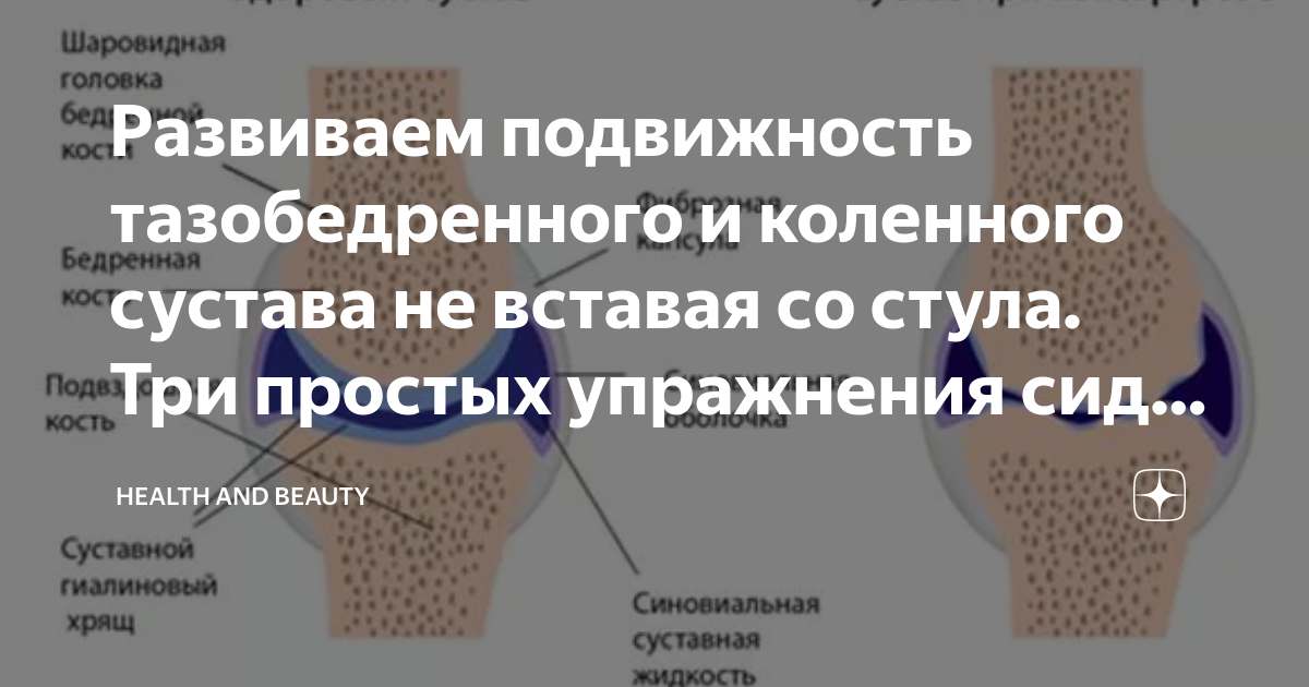 Причины заболеваний тазобедренных суставов. Подвижность тазобедренного сустава.