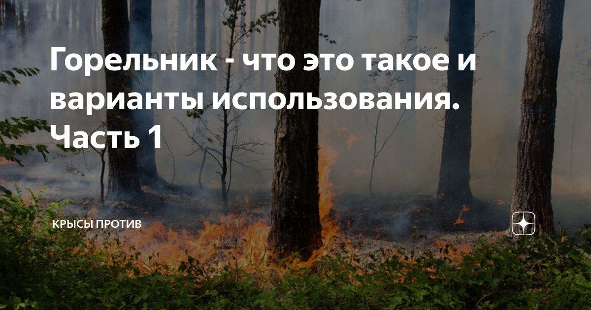 Горельник - что это такое и варианты использования. Часть 1 | Крысы ...