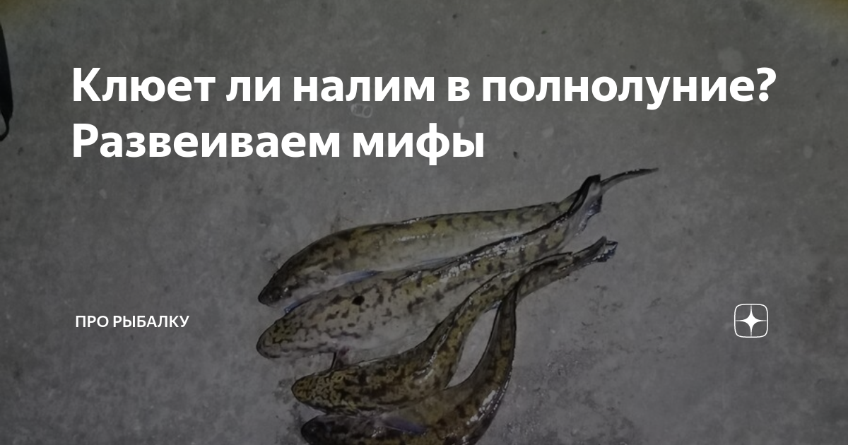 Клюет ли в полнолуние. Трезвая рыбалка. Развеиваем мифы. Трезвый Рыбак. Клюет ли рыба в полнолуние