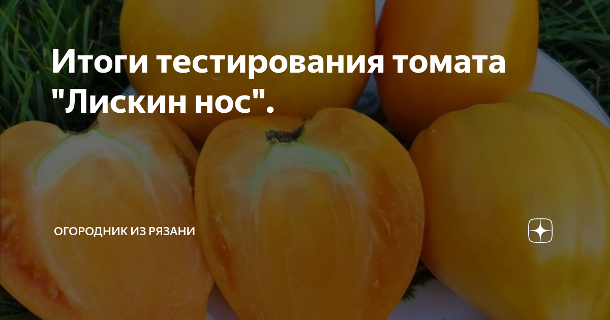 Томат Лискин нос 5шт